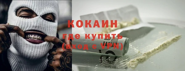 сатива Горняк