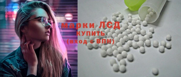 сатива Горняк