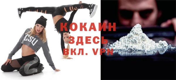 сатива Горняк