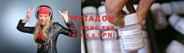 сатива Горняк
