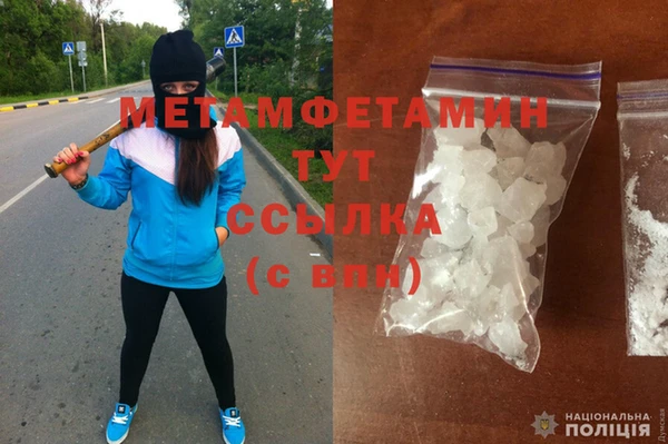 сатива Горняк