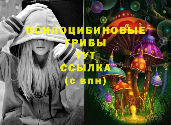 сатива Горняк