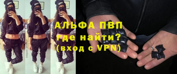 сатива Горняк
